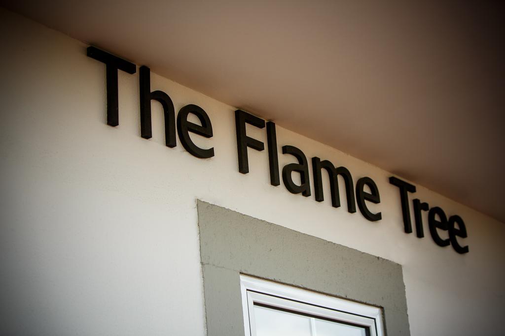 فندق The Flame Tree Madeira (Adults Only) فونشال المظهر الخارجي الصورة