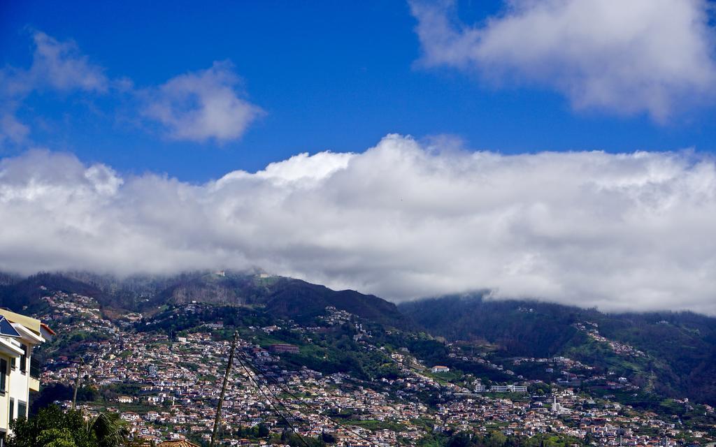 فندق The Flame Tree Madeira (Adults Only) فونشال المظهر الخارجي الصورة